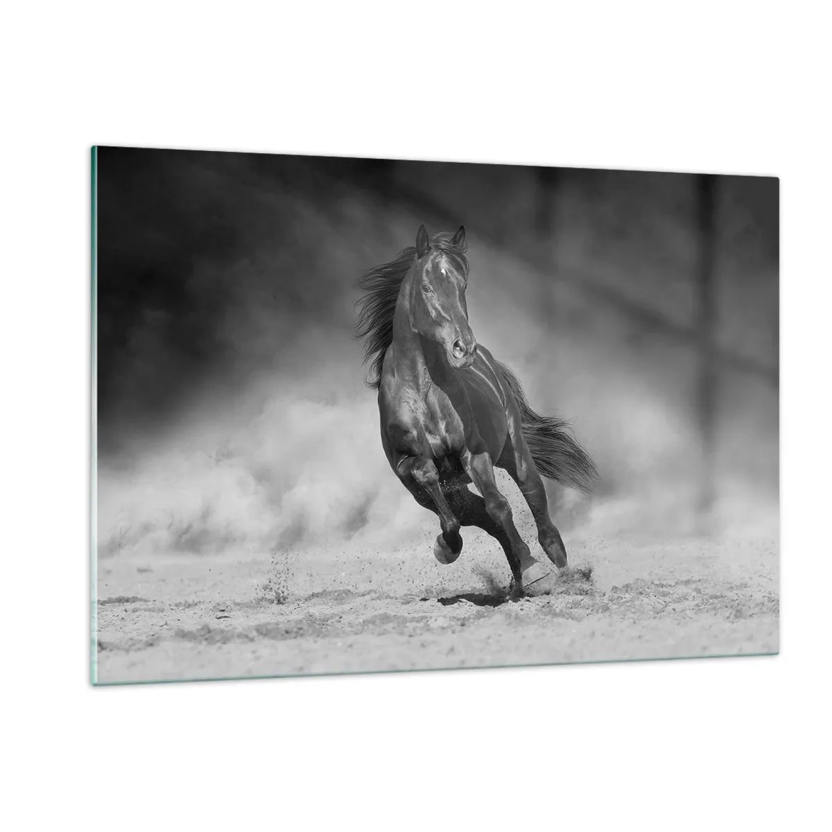 Impression sur verre - Image sur verre - Un cheval noir galopant sur le sable en noir et blanc. - 120x80cm - Digne de l'émir lui-même - Décoration murale moderne pour le salon et la chambre ARTTOR