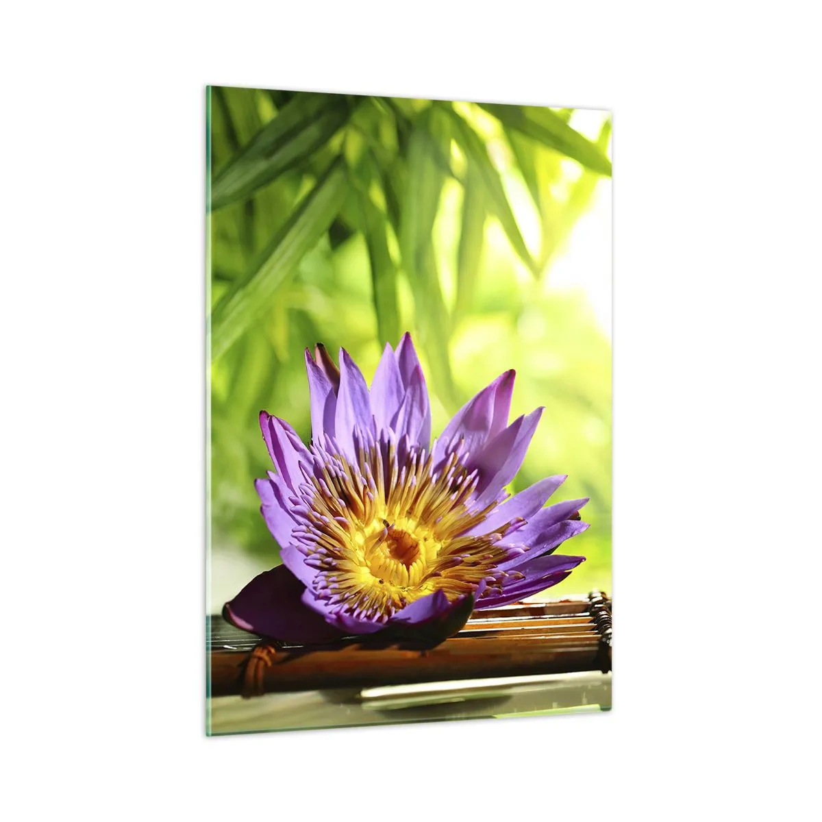 Impression sur verre - Image sur verre - Fleur de lotus violette sur une planche de bambou avec un fond vert - 50x70cm - Sous le soleil asiatique - Décoration murale moderne pour le salon et la chambre ARTTOR