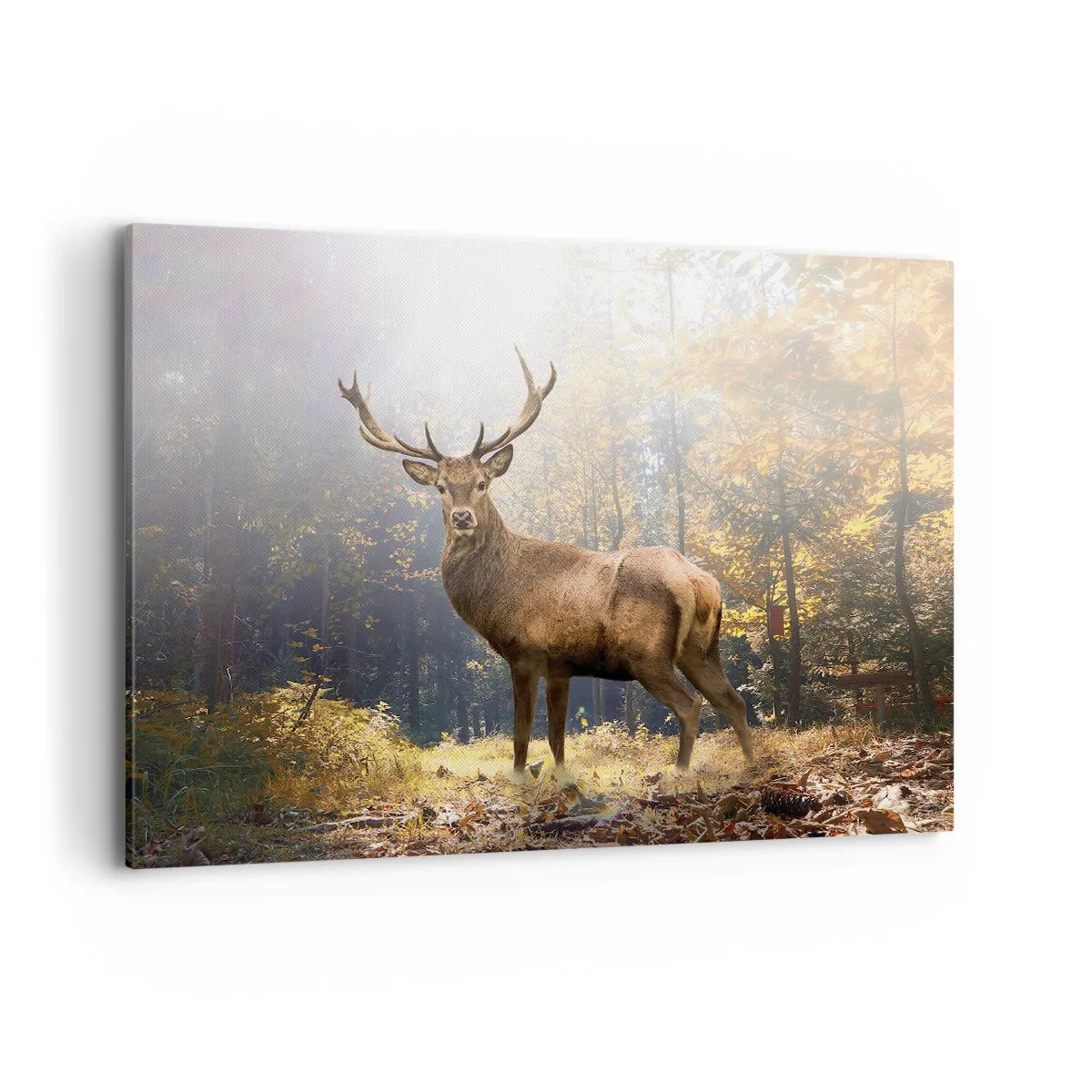 Impression sur toile - Image sur toile - Cerf dans la forêt d'automne avec les rayons du soleil - 100x70cm - Toute sa majesté - Décoration murale moderne pour le salon et la chambre ARTTOR