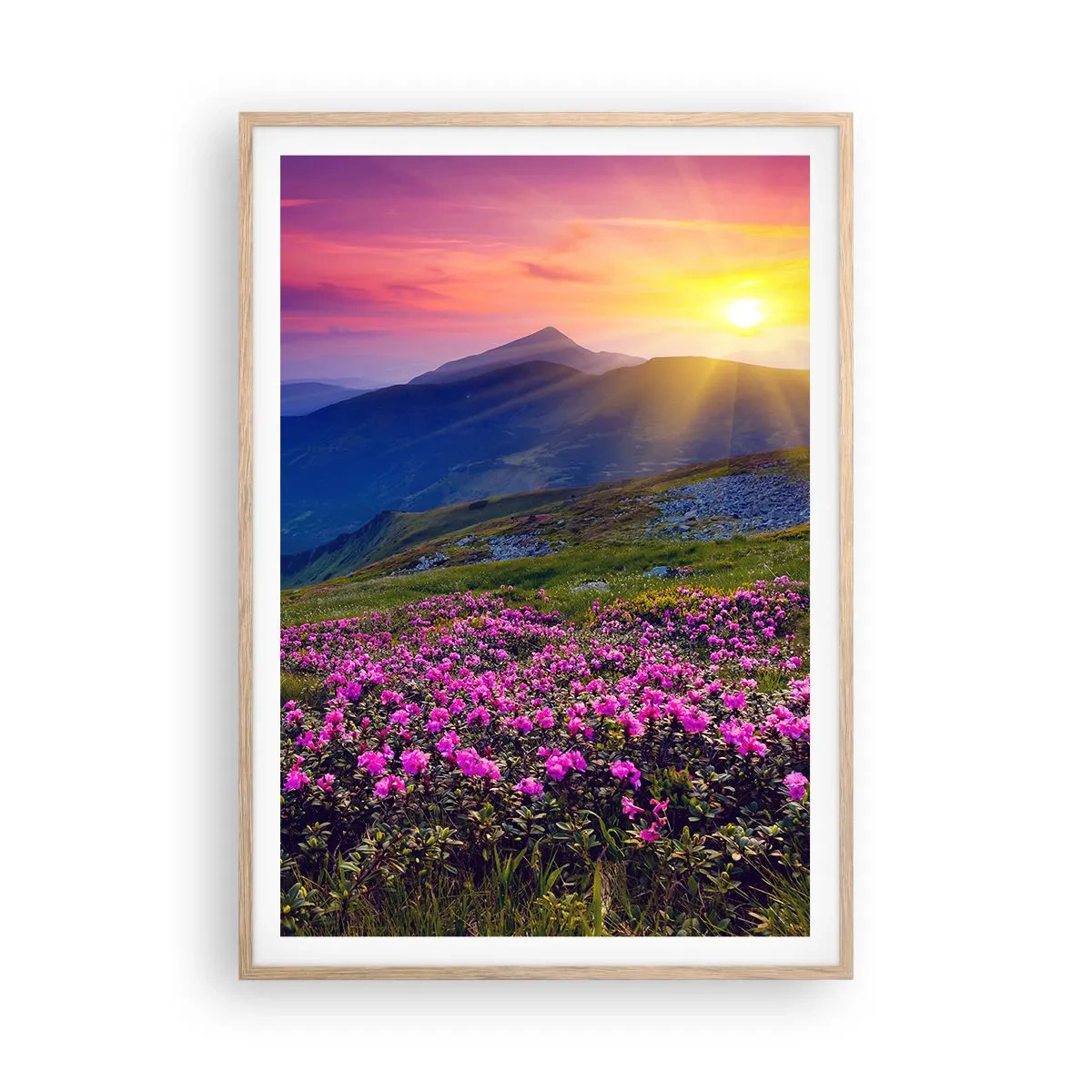 Affiche dans un chêne clair - Poster - … Et autour, ça sent le pin des montagnes et l'odeur de la prairie - 70x100 cm