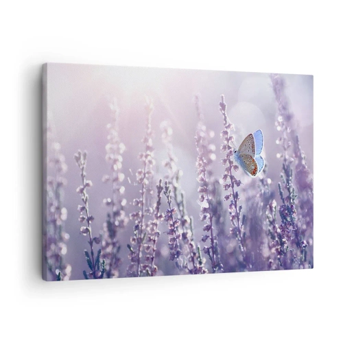 Impression sur toile - Image sur toile - Un papillon sur une lavande en fleurs dans la lumière du matin - 70x50cm - Baiser de papillon - Décoration murale moderne pour le salon et la chambre ARTTOR