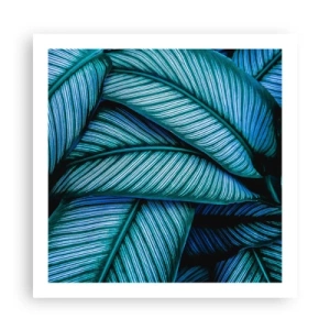 Affiche - Poster - Lignes de vie - 60x60 cm