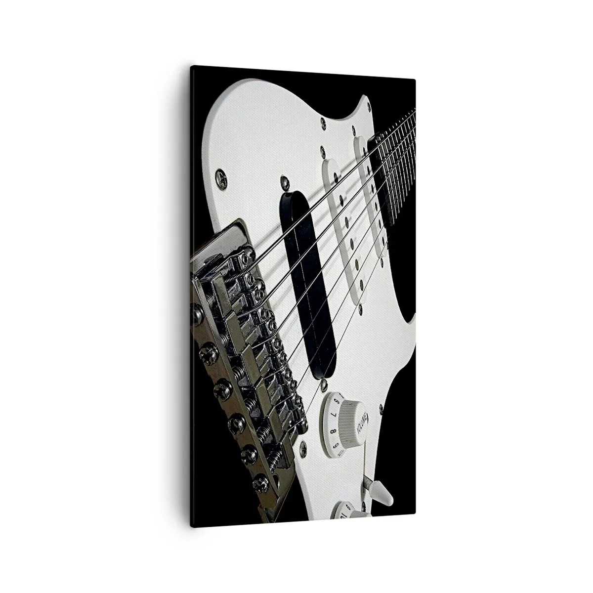 Impression sur toile - Image sur toile - Son caché en blanc - 55x100 cm