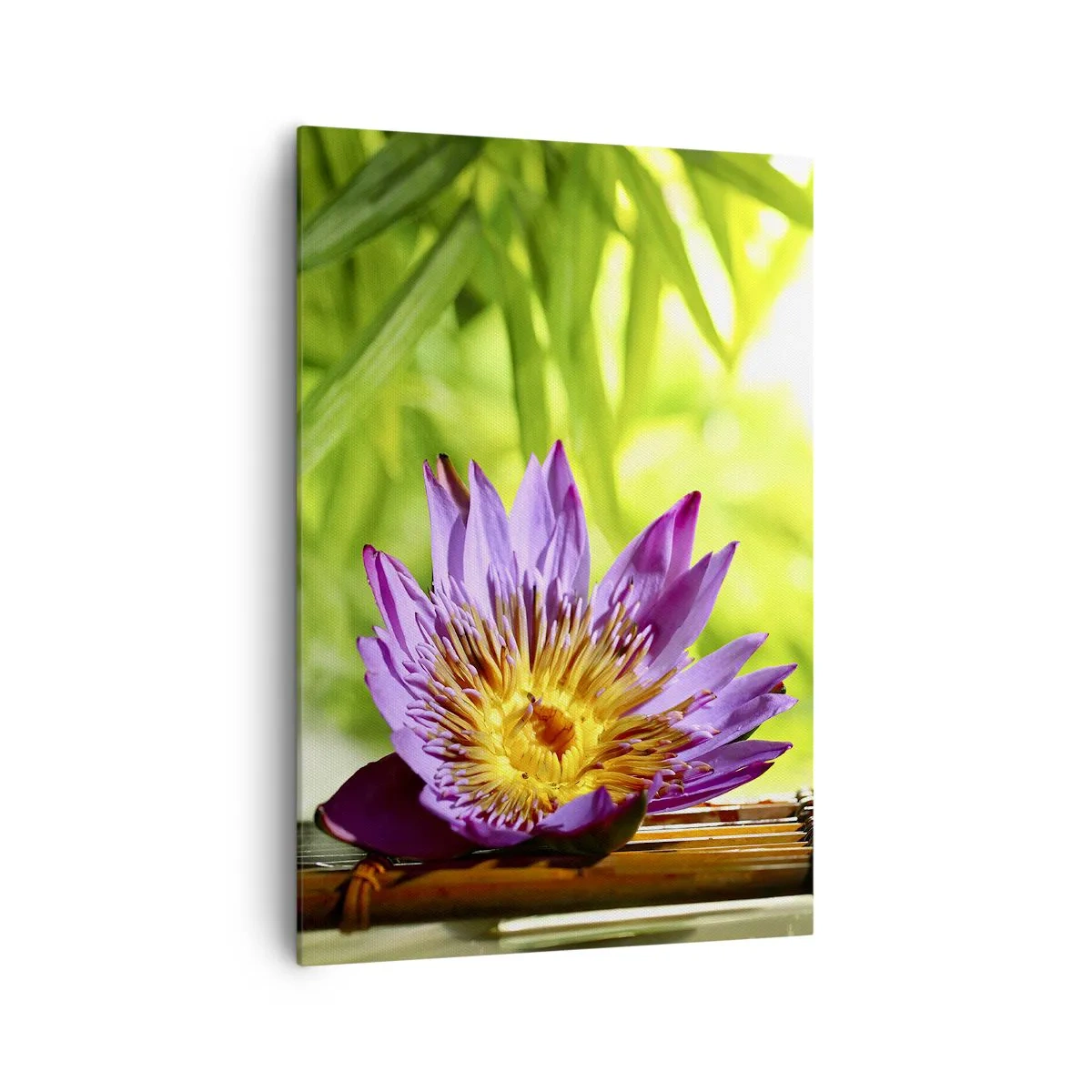 Impression sur toile - Image sur toile - Fleur de lotus violette sur fond de feuilles de bambou vertes - 70x100cm - Sous le soleil asiatique - Décoration murale moderne pour le salon et la chambre ARTTOR