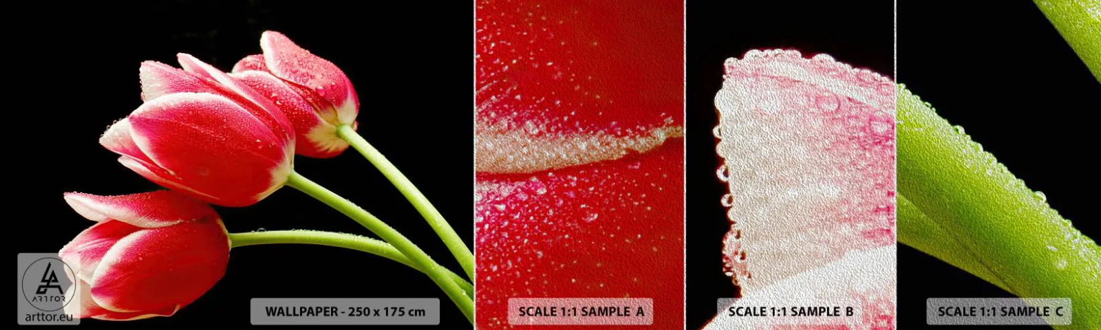 Échantillon de Papier Peint Premium Sand - Une promesse d'amour pur - Fleurs, Tulipes, Nature - 100x30 cm