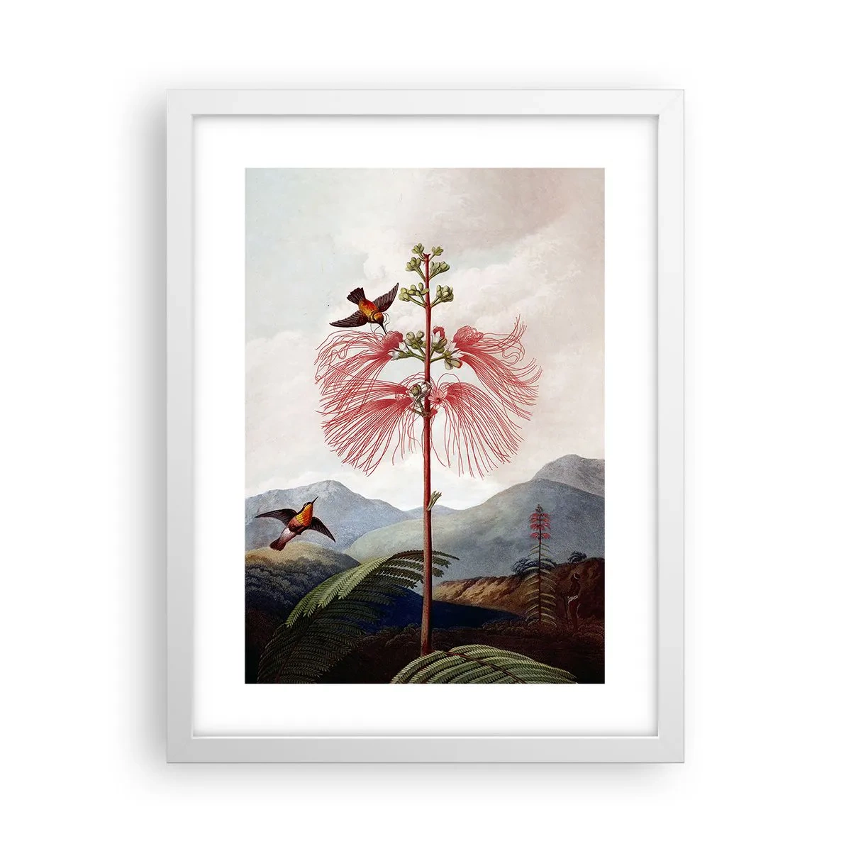 Affiche dans un cadre blanc - Poster - Dans un paradis tropical - 30x40 cm