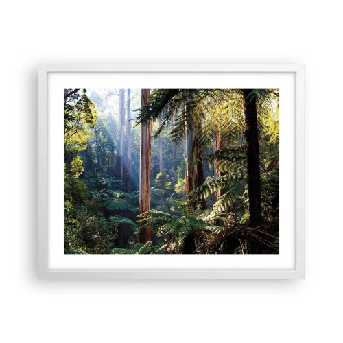 Affiche dans un cadre blanc - Poster - Fable de la forêt - 50x40 cm