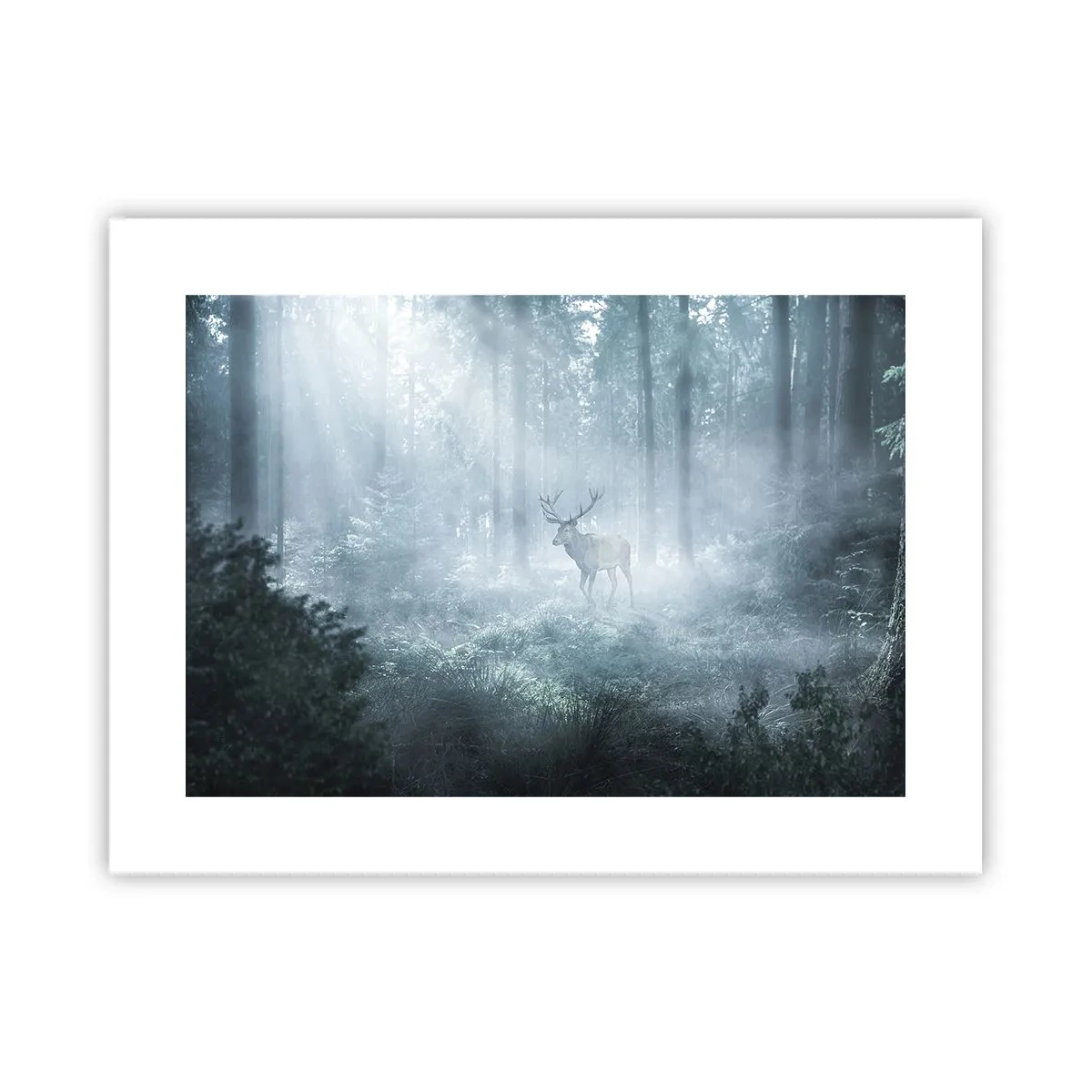 Affiche - Poster - Visite matinale du domaine - 40x30 cm