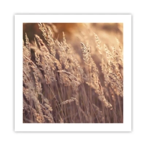 Affiche - Poster - Prêt à accueillir l'automne - 50x50 cm