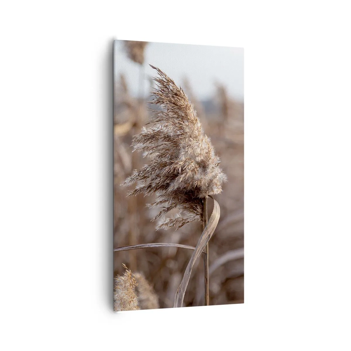 Impression sur toile - Image sur toile - Il est temps de s'envoler avec le vent - 65x120 cm