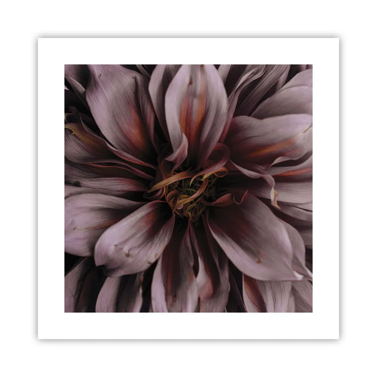 Affiche - Poster - Un coeur fleuri - 40x40 cm