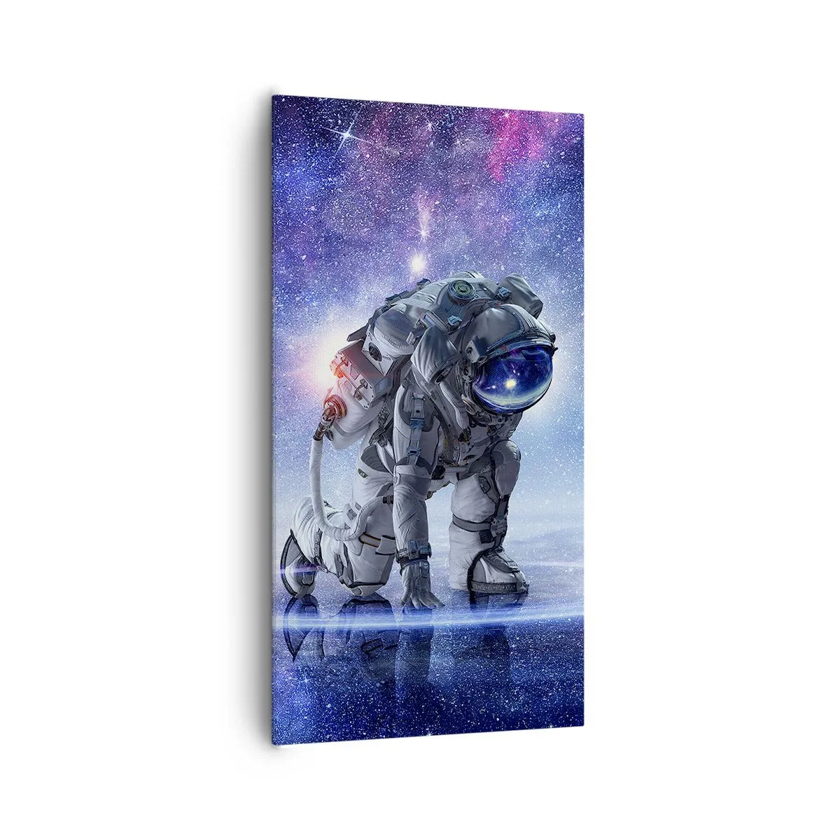 Impression sur toile - Image sur toile - Le ciel étoilé au dessus de moi - 65x120 cm