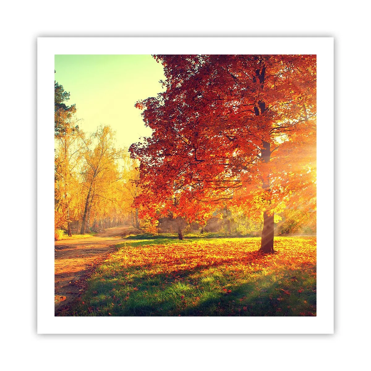 Affiche - Poster - Le roux est beau - 60x60 cm