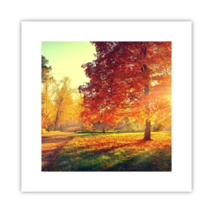 Affiche - Poster - Le roux est beau - 30x30 cm