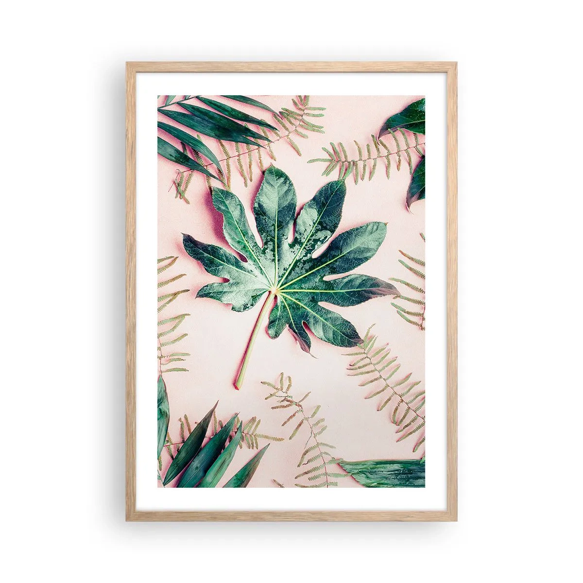Affiche dans un chêne clair - Poster - Étude de verdure sur fond rose - 50x70 cm