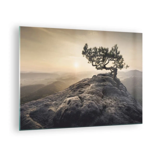 Impression sur verre - Image sur verre - Un arbre sur un rocher à la lumière du soleil levant - 70x50cm - La vie gagne toujours - Décoration murale moderne pour le salon et la chambre ARTTOR