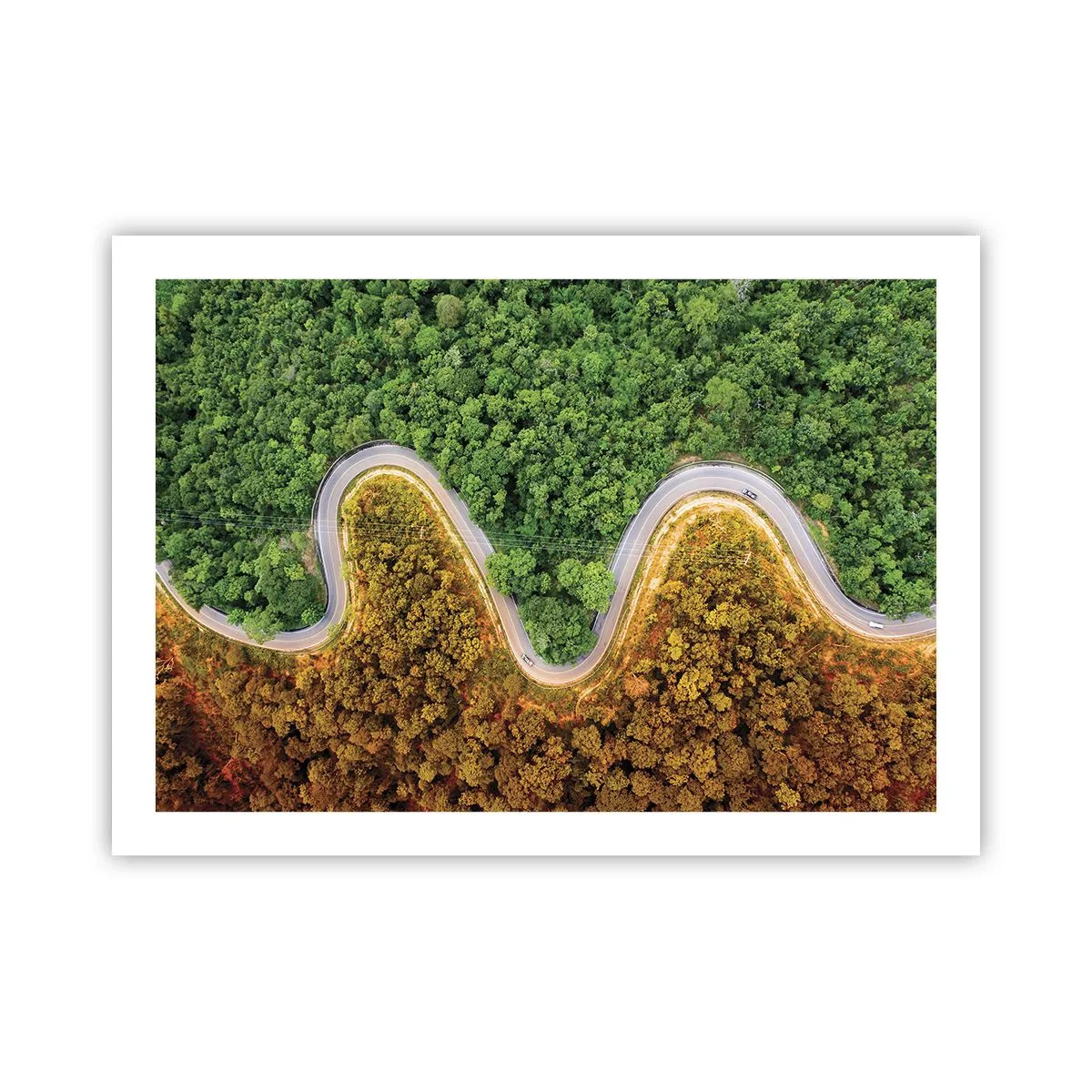 Affiche - Poster - Frontieres et differences - 70x50 cm