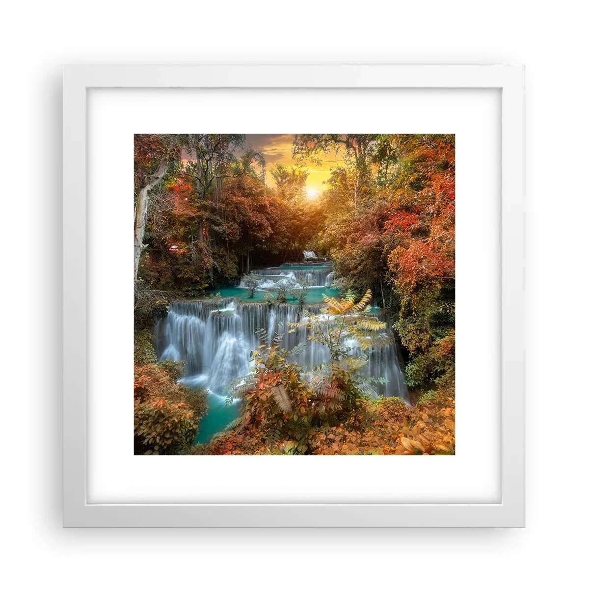 Affiche dans un cadre blanc - Poster - Trésor caché de la forêt - 30x30 cm