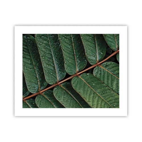 Affiche - Poster - Au rythme de la verdure - 50x40 cm