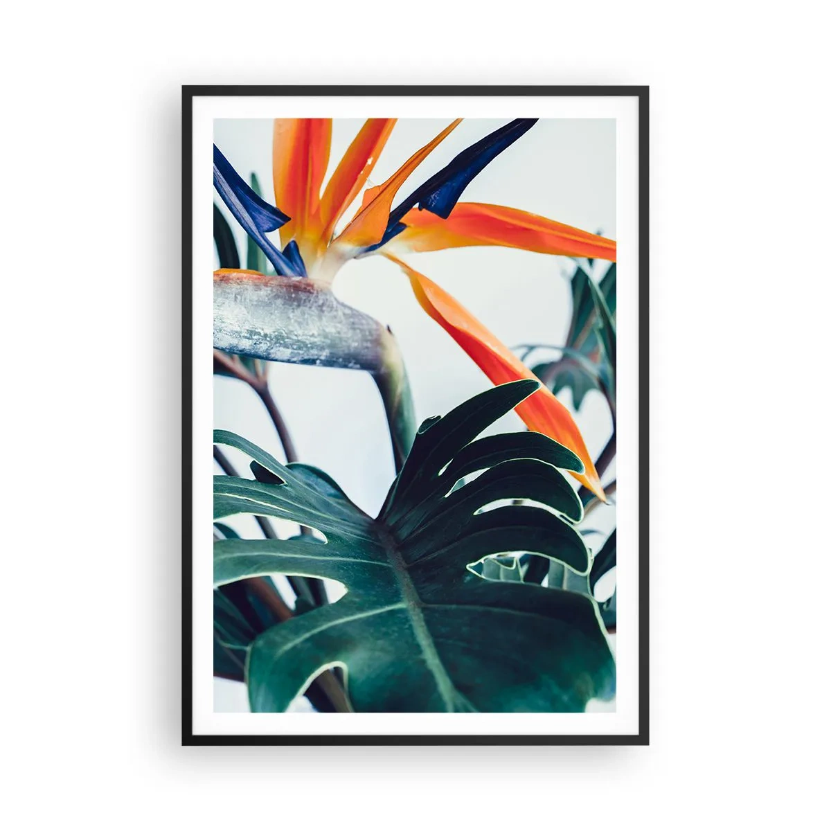 Affiche dans un cadre noir - Poster - Le buisson oiseaux - 70x100 cm