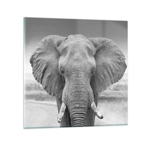 Impression sur verre - Image sur verre - Bienvenue dans mon monde - 60x60 cm