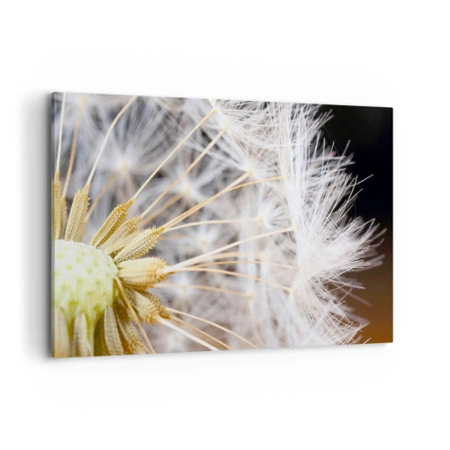 Impression sur toile - Image sur toile - Photographie macro d'un pissenlit aux graines délicates - 120x80cm - Juste avant le départ - Décoration murale moderne pour le salon et la chambre ARTTOR