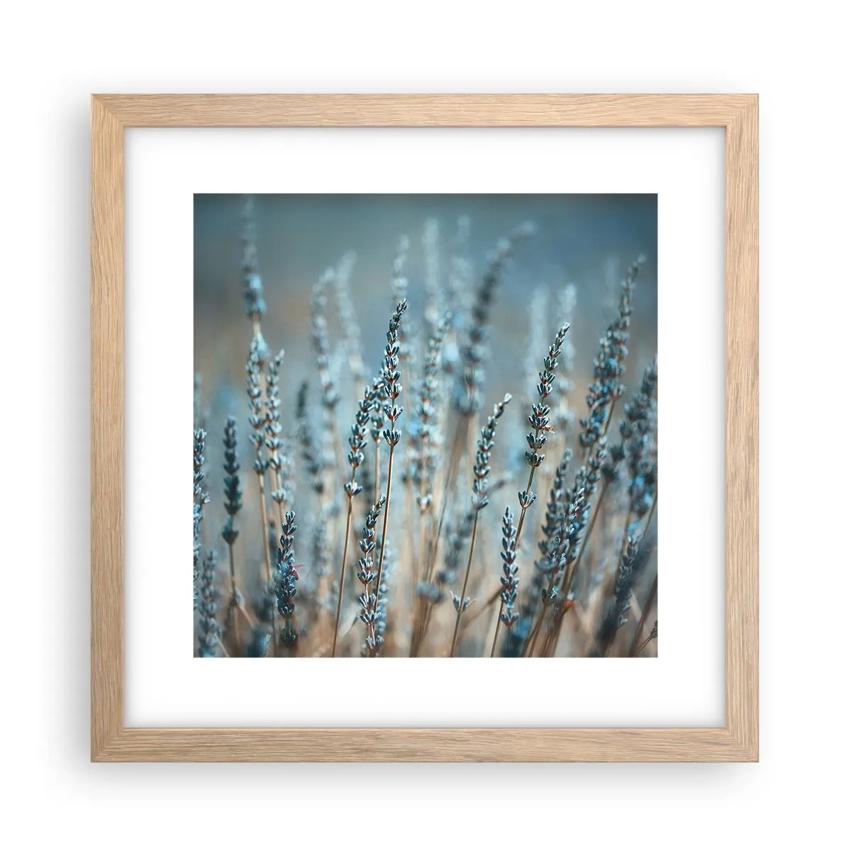 Affiche dans un chêne clair - Poster - Tige odorante - 30x30 cm