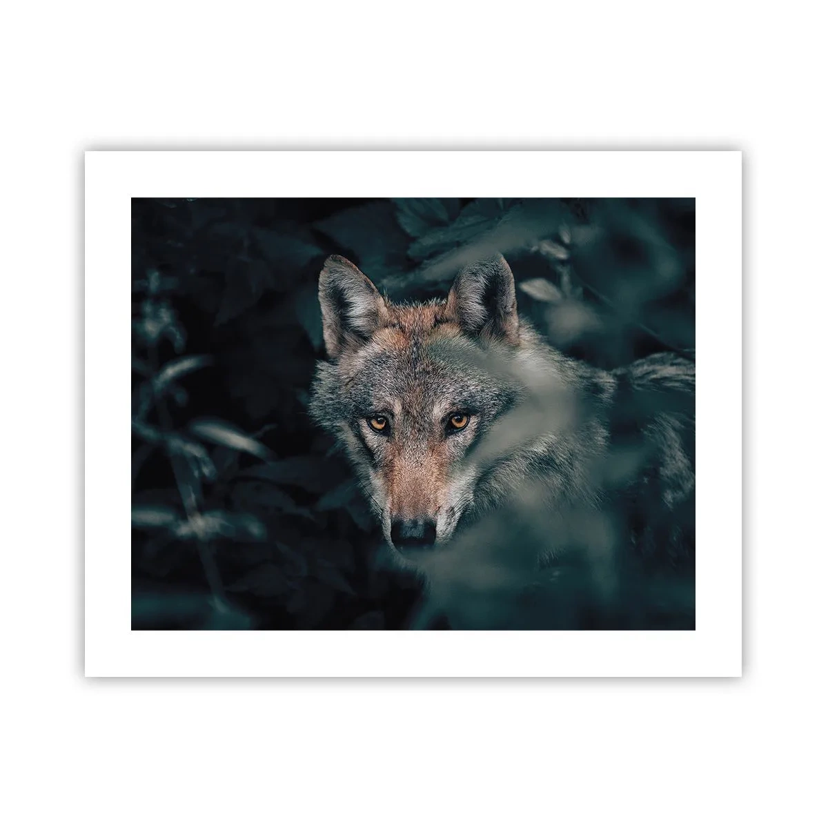 Affiche - Poster - Chasseur - 50x40 cm