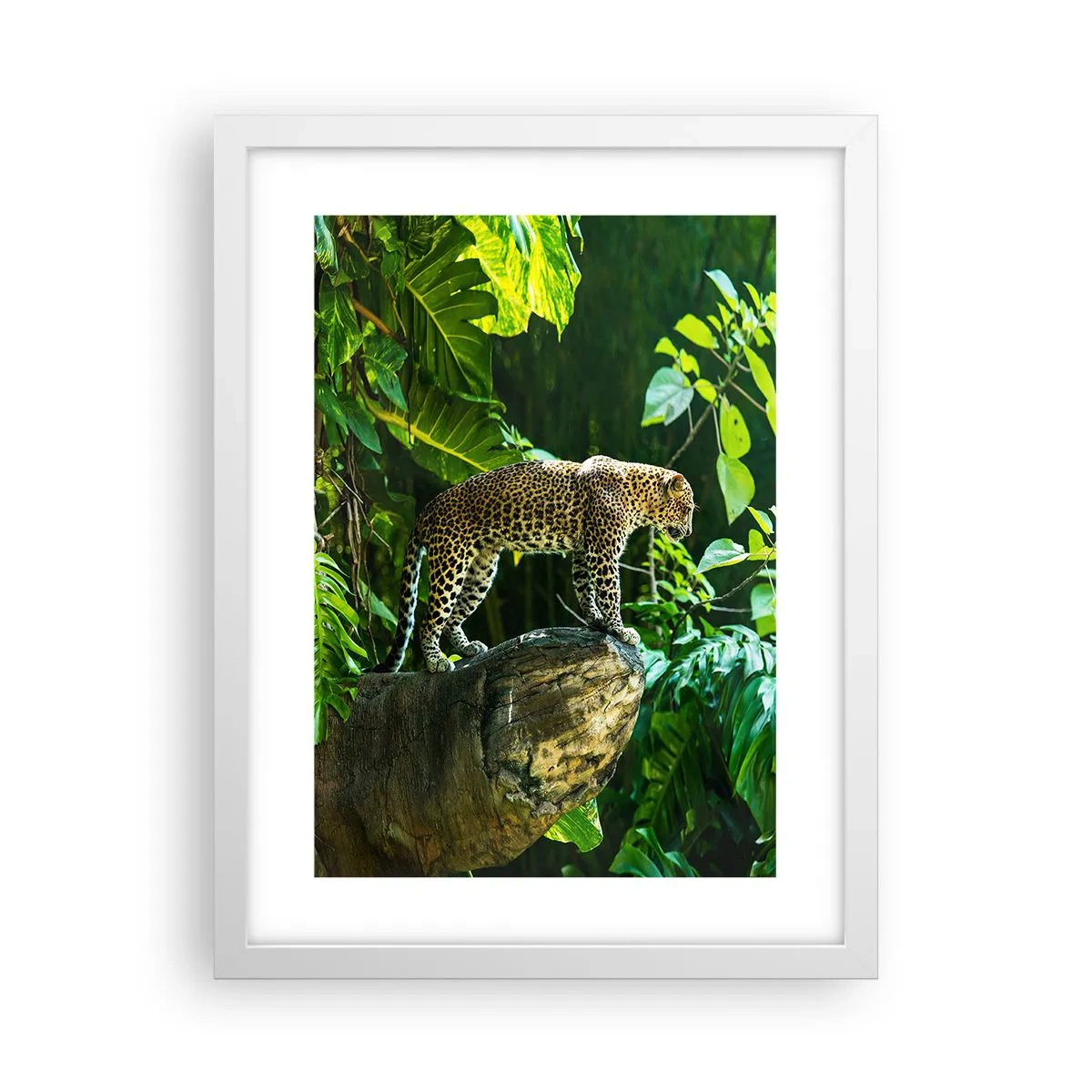 Affiche dans un cadre blanc - Poster - À la chasse? - 30x40 cm