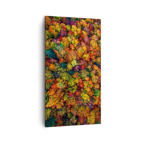 Impression sur toile - Image sur toile - Bouquet d'arbres automnal - 45x80 cm