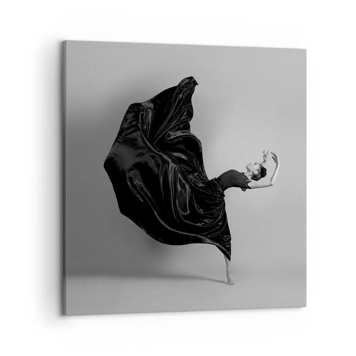 Impression sur toile - Image sur toile - Musique ailées - 50x50 cm