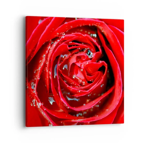 Impression sur toile - Image sur toile - Dans les gouttes de rosée - 40x40 cm