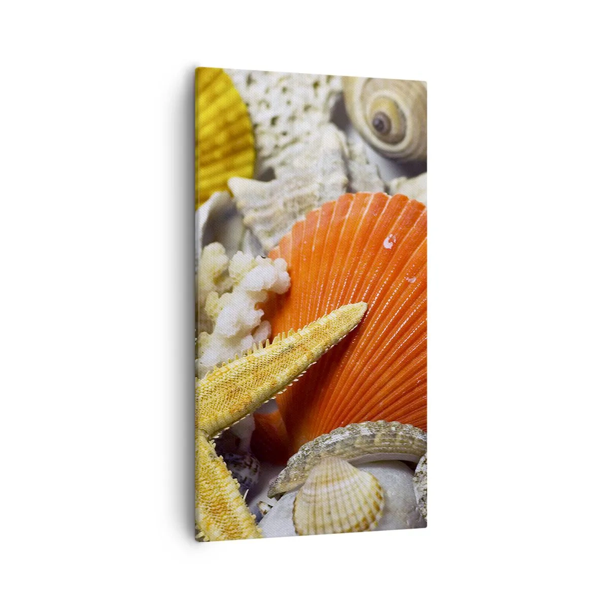 Impression sur toile - Image sur toile - Trésors de l'océan - 55x100 cm