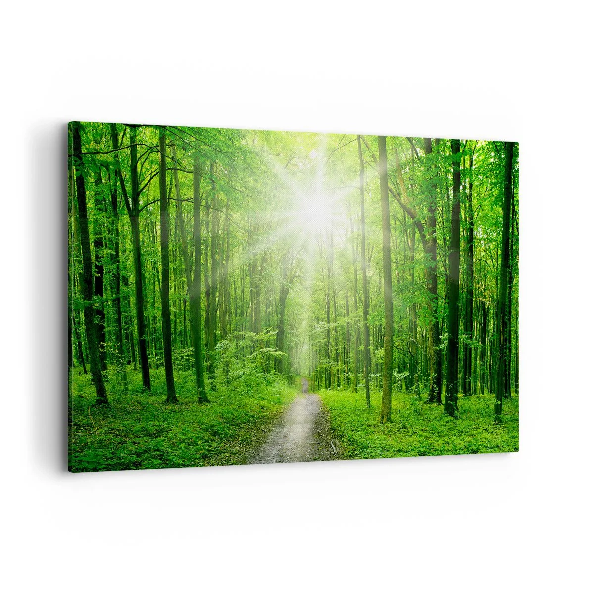 Impression sur toile - Image sur toile - Chemin dans la forêt avec les rayons du soleil - 120x80cm - Cathédrale verte - Décoration murale moderne pour le salon et la chambre ARTTOR