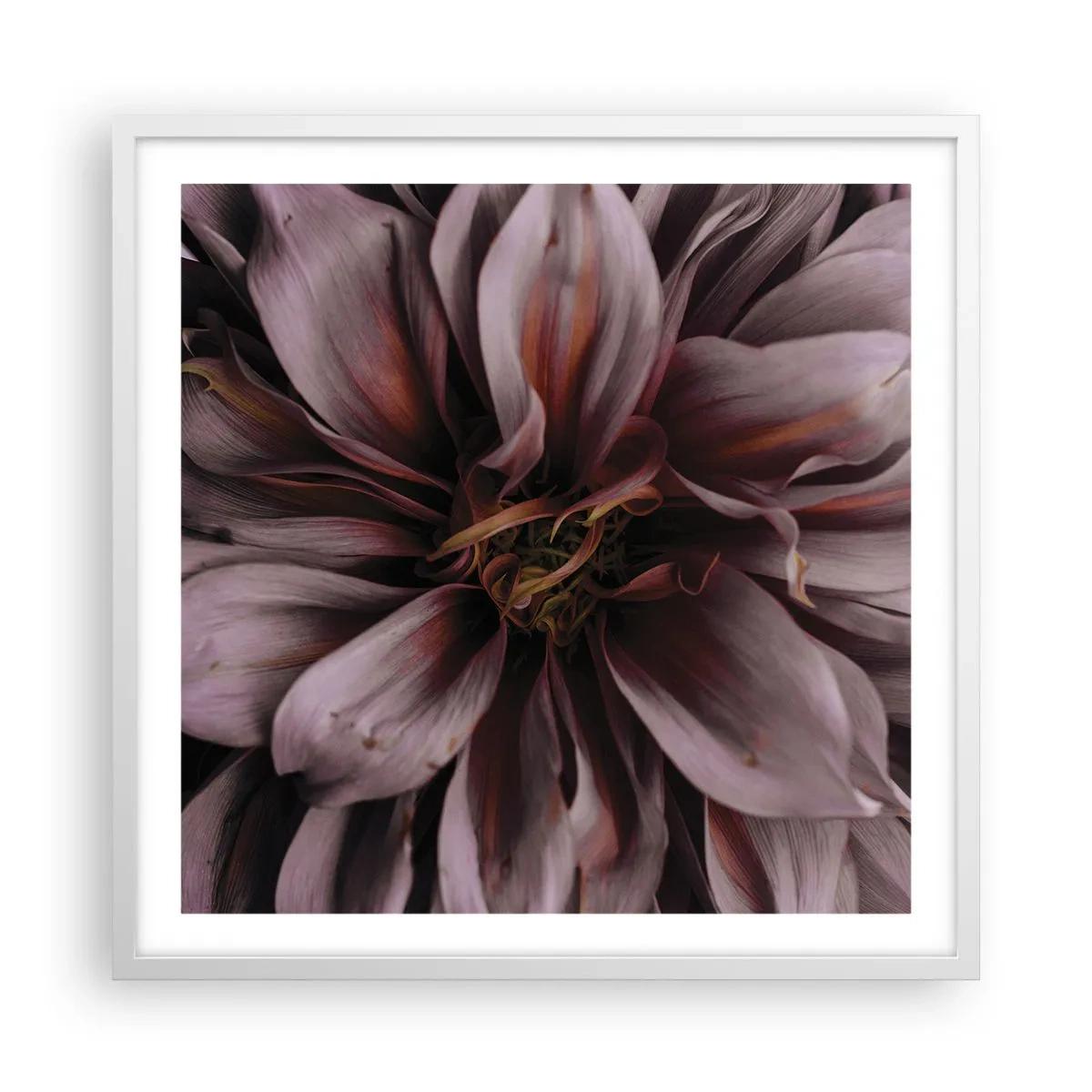 Affiche dans un cadre blanc - Poster - Un coeur fleuri - 60x60 cm