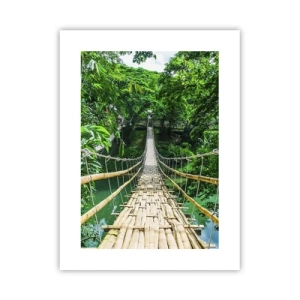 Affiche - Poster - Pont de singe en pleine nature - 30x40 cm