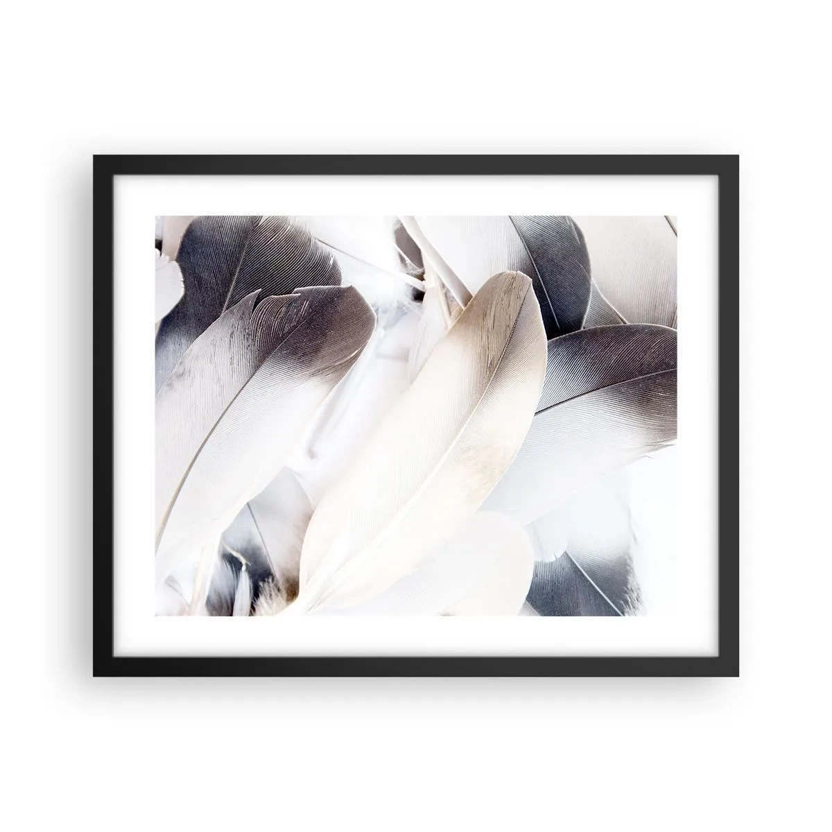 Affiche dans un cadre noir - Poster - Presque angélique - 50x40 cm