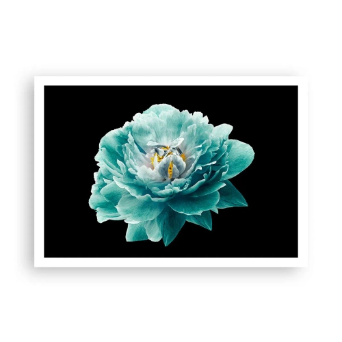 Affiche - Poster - Fleur de pivoine turquoise sur fond noir - 100x70cm - Pétales bleus et dorés - Décoration murale moderne pour le salon et la chambre ARTTOR