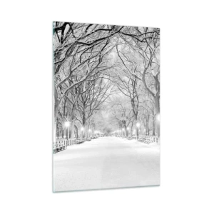 Impression sur verre - Image sur verre - Allée d'arbres d'hiver dans le parc avec des lumières et de la neige - 50x70cm - Les quatres saisons – l’hiver - Décoration murale moderne pour le salon et la chambre ARTTOR