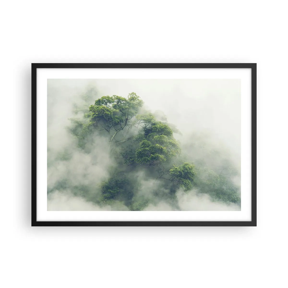 Affiche dans un cadre noir - Poster - Arbres verts dans un épais brouillard sur fond naturel - 70x50cm - Enveloppé de brouillard - Décoration murale moderne pour le salon et la chambre ARTTOR