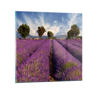 Impression sur verre - Image sur verre - Champs de lavande - 50x50 cm