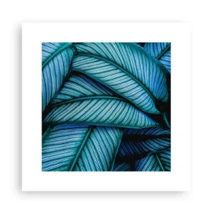 Affiche - Poster - Lignes de vie - 30x30 cm