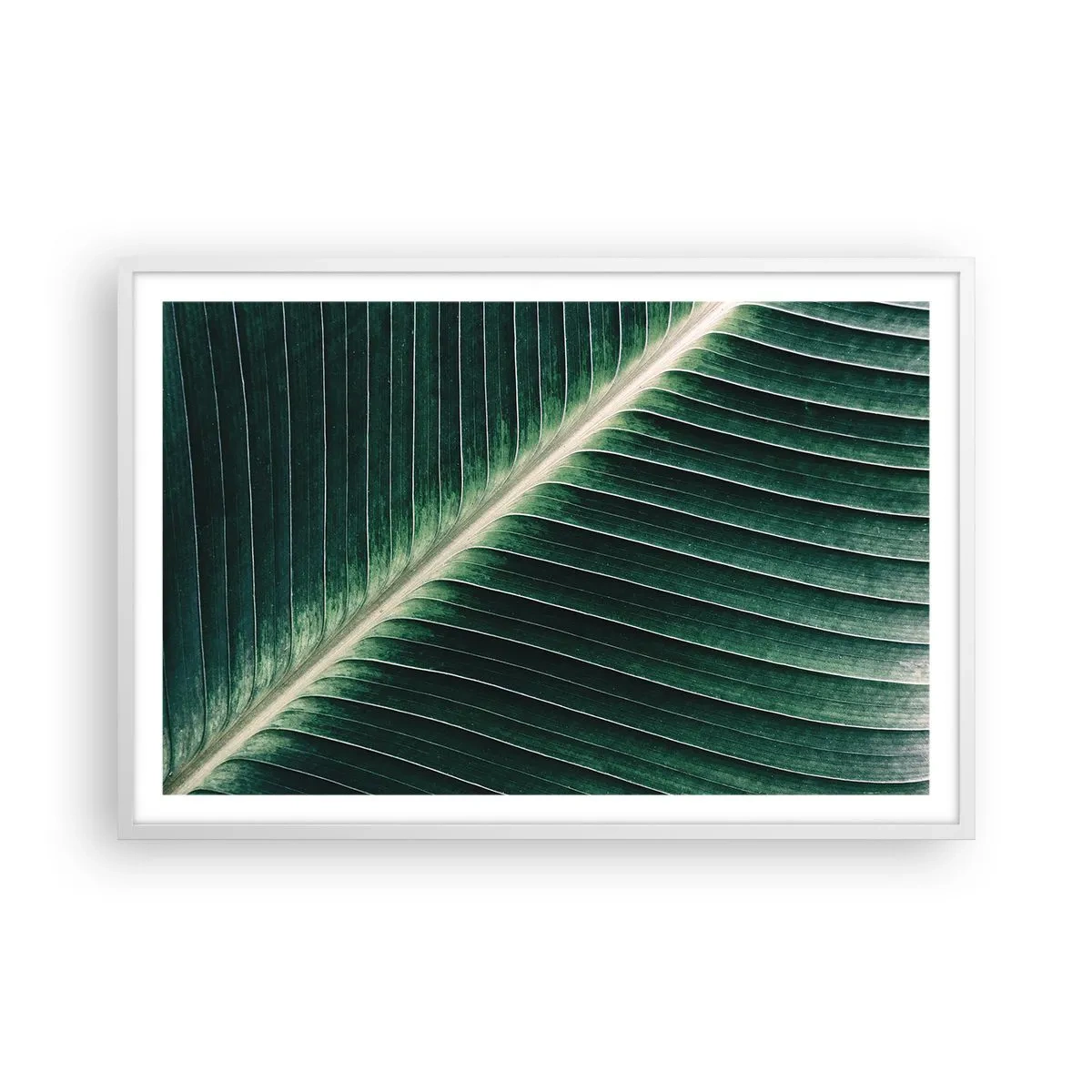 Affiche dans un cadre blanc - Poster - Le rythme de la nature - 91x61 cm