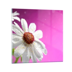 Impression sur verre - Image sur verre - Modeste dans sa beauté - 50x50 cm