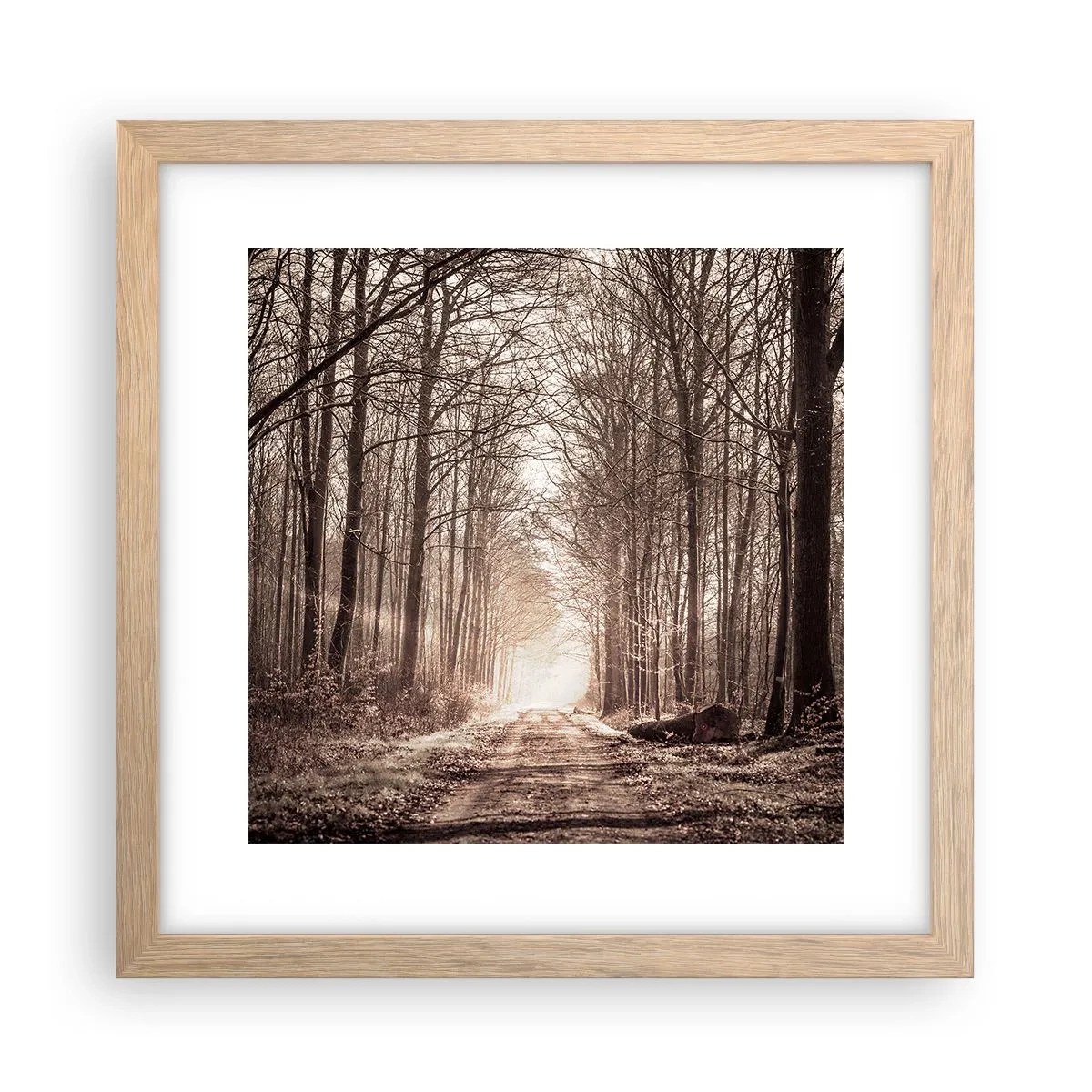 Affiche dans un chêne clair - Poster - Cathédrale de la forêt - 30x30 cm