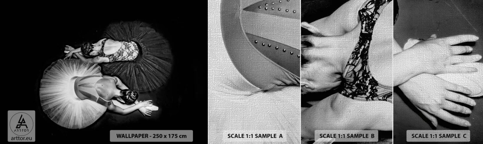 Échantillon de Papier Peint Premium Canvas - Jin et jang – équilibre idéal - Ballerine, Ballet, Danse - 100x30 cm