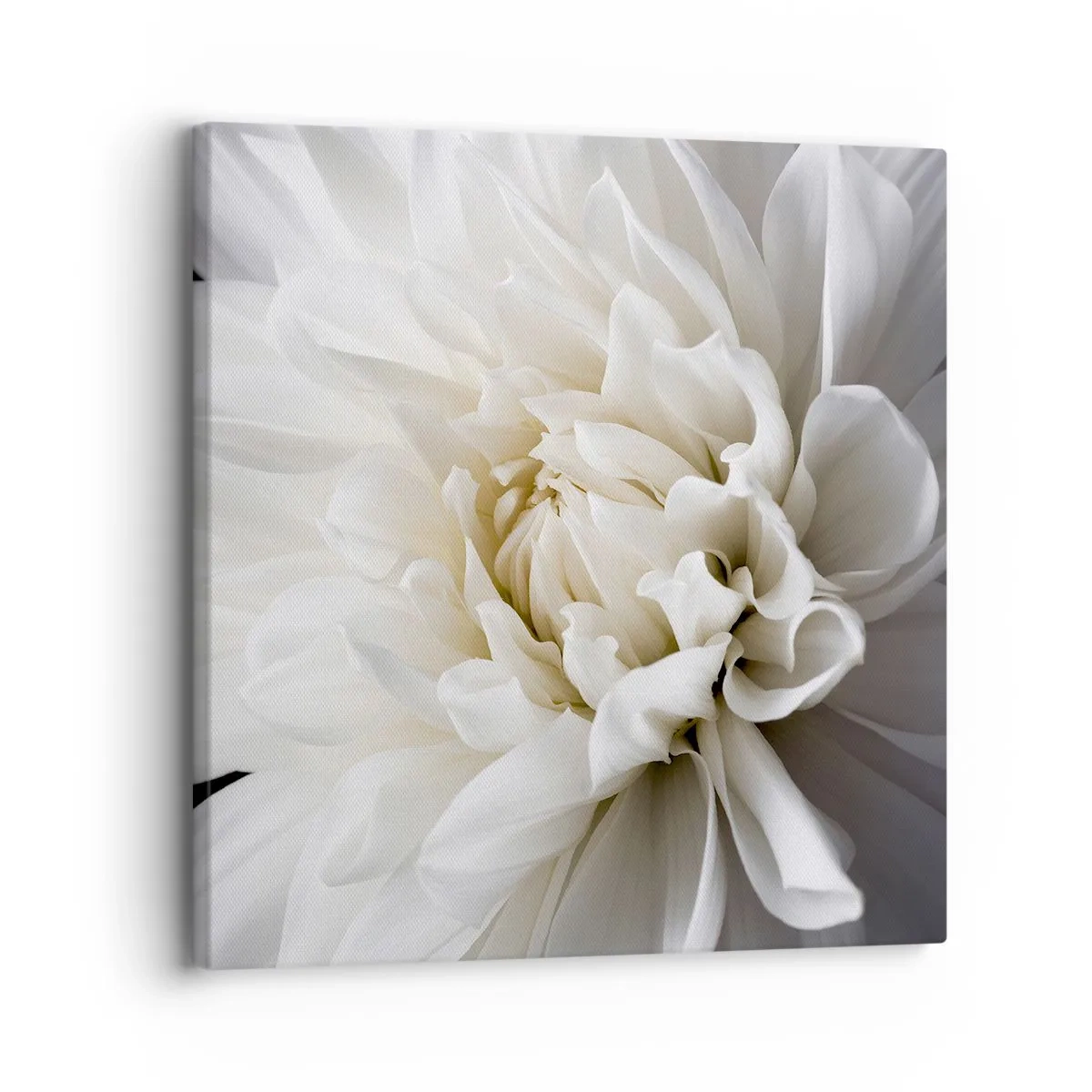 Impression sur toile - Image sur toile - Le matin de la jeune mariéé - 30x30 cm