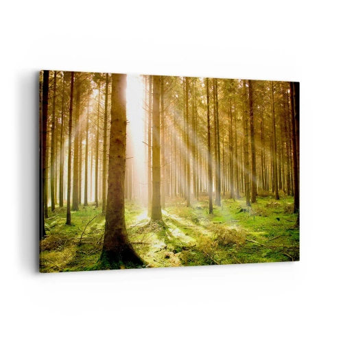 Impression sur toile - Image sur toile - Forêt de conifères avec les rayons du soleil qui brillent à travers les arbres - 120x80cm - Les elfes vont bientôt apparaître - Décoration murale moderne pour le salon et la chambre ARTTOR