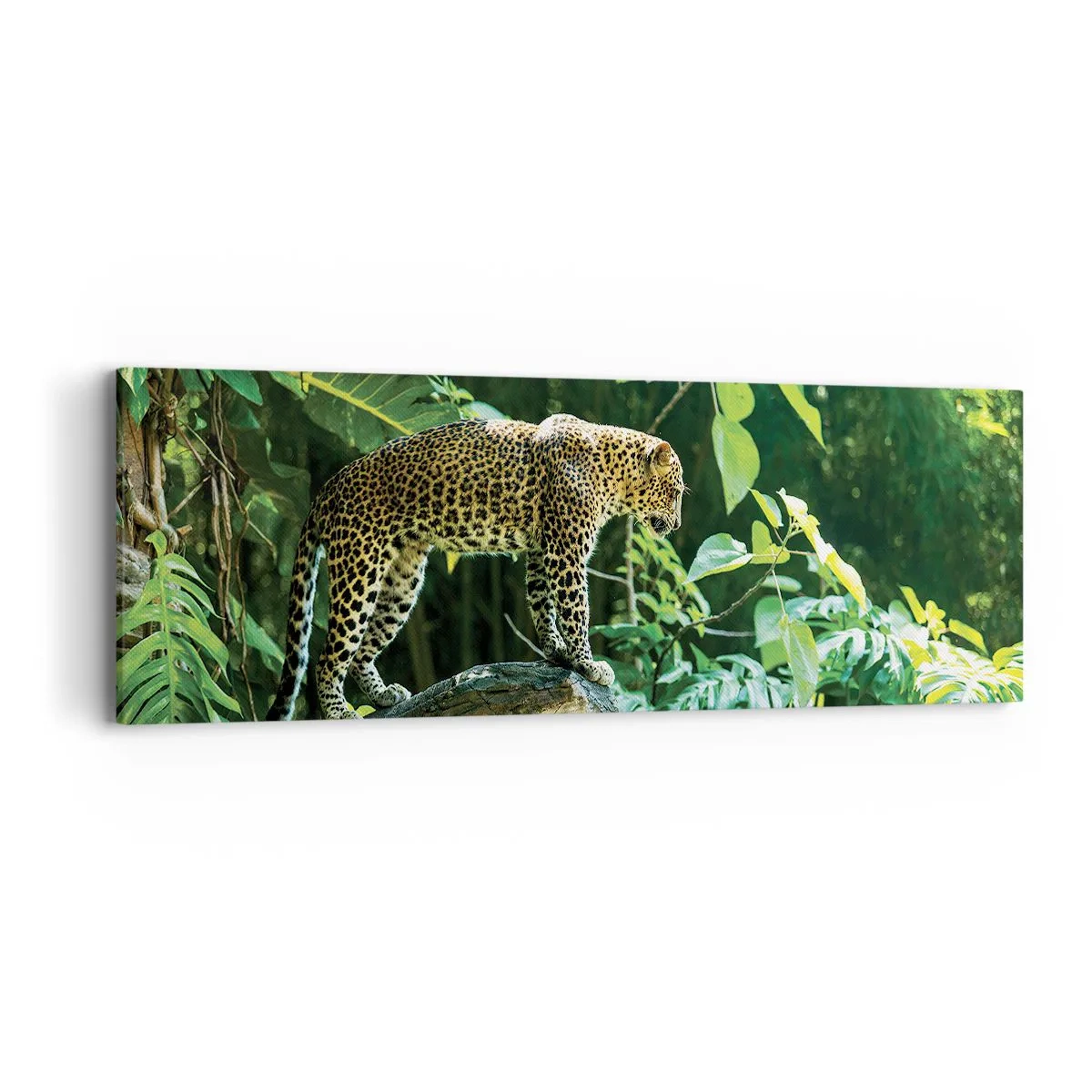 Impression sur toile - Image sur toile - À la chasse? - 90x30 cm