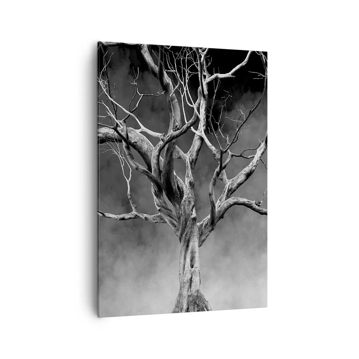 Impression sur toile - Image sur toile - Un arbre sec en noir et blanc contre le brouillard - 70x100cm - Primordial et sacré - Décoration murale moderne pour le salon et la chambre ARTTOR